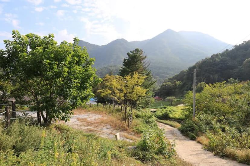 산대분교공공캠핑장 사진 3