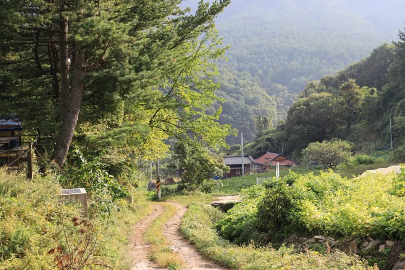 산대분교공공캠핑장 사진 5