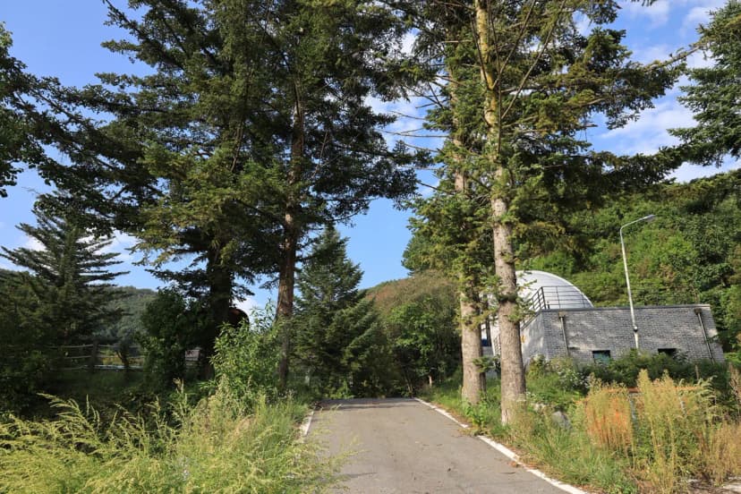 산대분교공공캠핑장 사진 8
