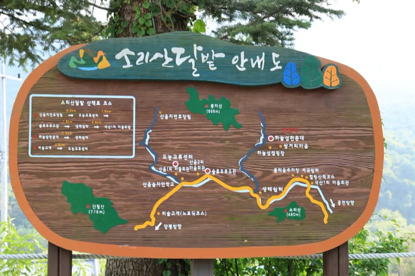 산대분교공공캠핑장 사진 12