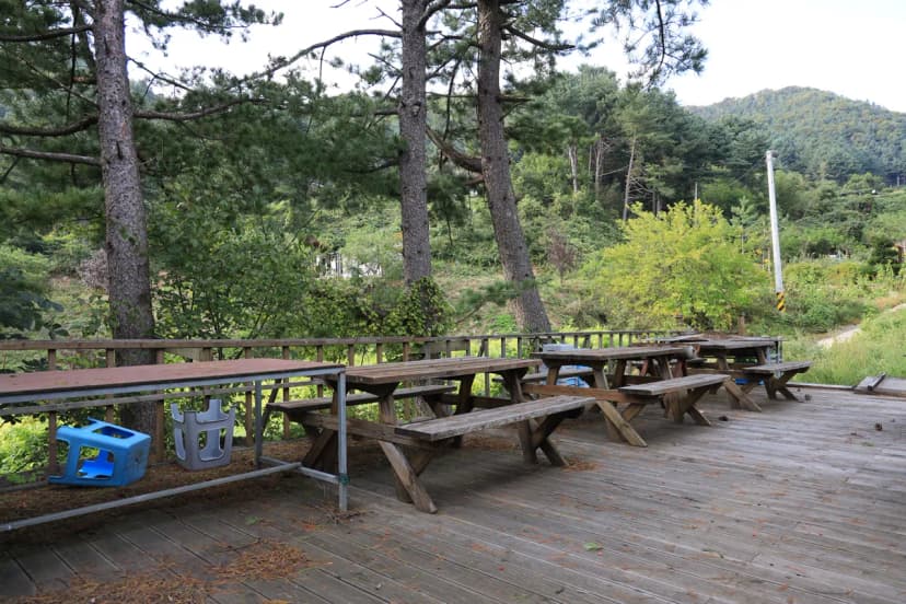산대분교공공캠핑장 사진 19