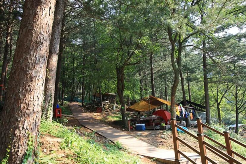 선바위 자연캠핑장 사진 2