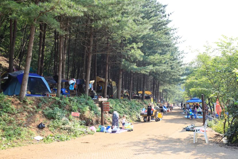 선바위 자연캠핑장 사진 4