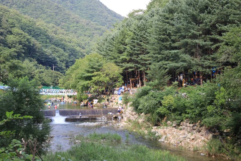 선바위 자연캠핑장 사진 11