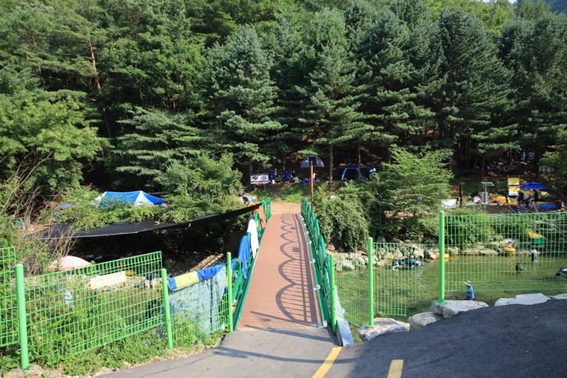 선바위 자연캠핑장 사진 13