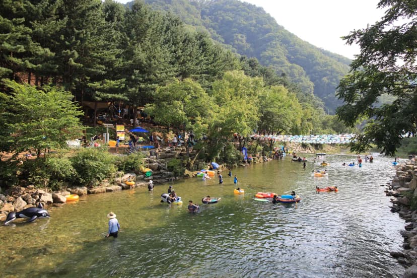 선바위 자연캠핑장 사진 14