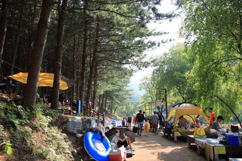 선바위 자연캠핑장 사진 18