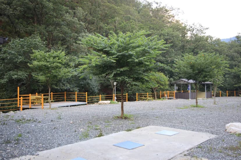 동당미펜션 야영장 사진 7