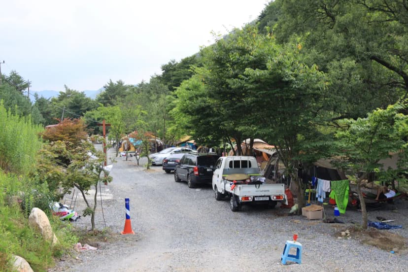 백년펜션 야영장 사진 5