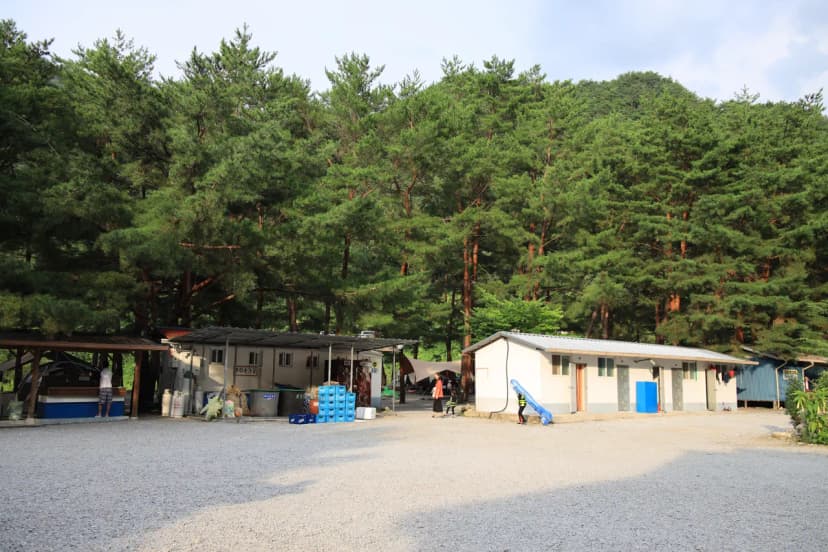 내리계곡 솔밭캠핑장 사진 4