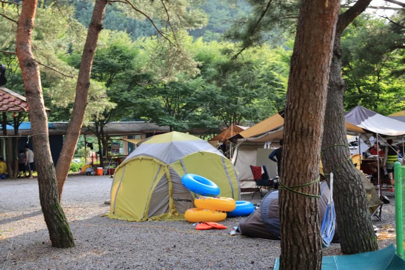 내리계곡 솔밭캠핑장 사진 12