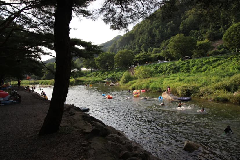 내리계곡 솔밭캠핑장 사진 15