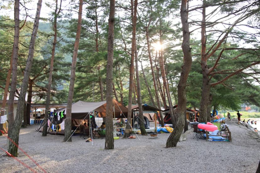 내리계곡 솔밭캠핑장 사진 16