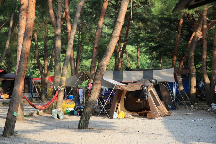 내리계곡 솔밭캠핑장 사진 20