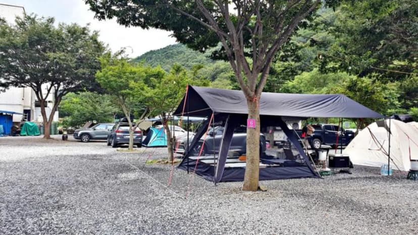 솔밭캠프 사진 3
