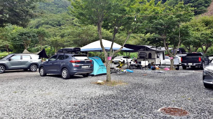 솔밭캠프 사진 5