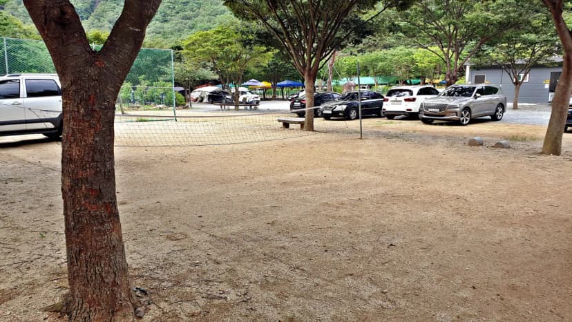 솔밭캠프 사진 12