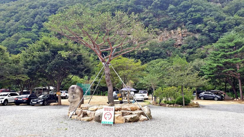 솔밭캠프 사진 17