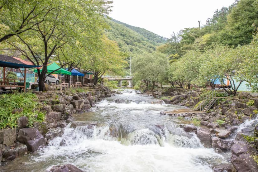 옥수골계곡펜션야영장 사진 4