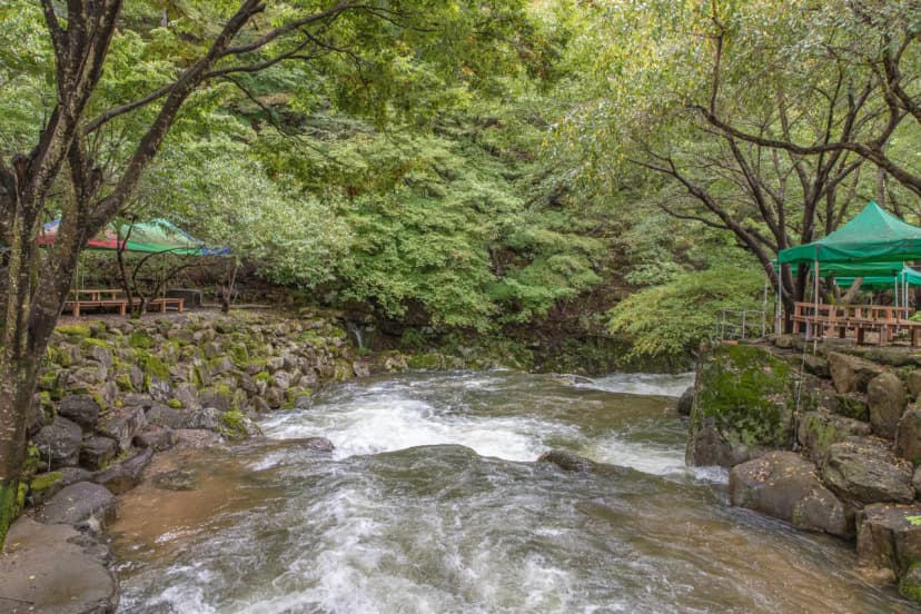옥수골계곡펜션야영장 사진 5