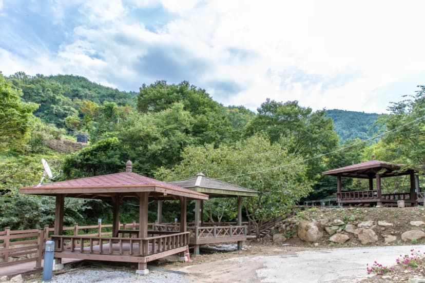 하늘나리 캠핑장 사진 7