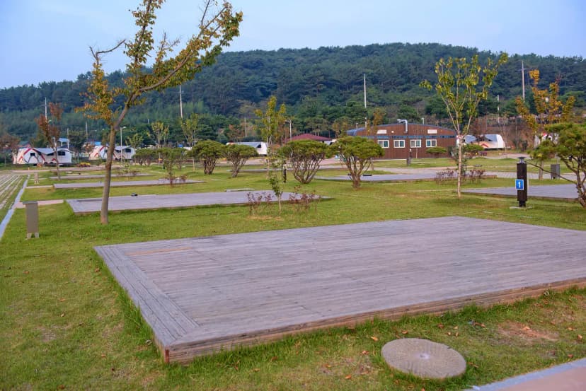 회산백련지 오토캠핑장 사진 3