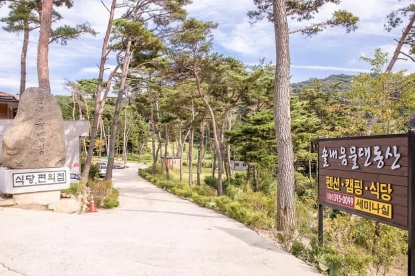 솔내음 물댄동산 야영장 사진 2