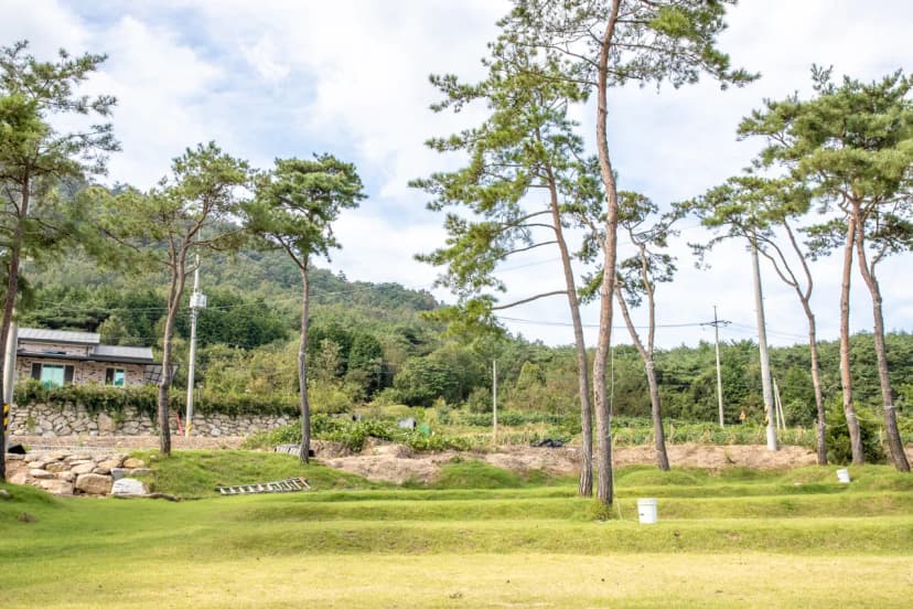 솔내음 물댄동산 야영장 사진 16