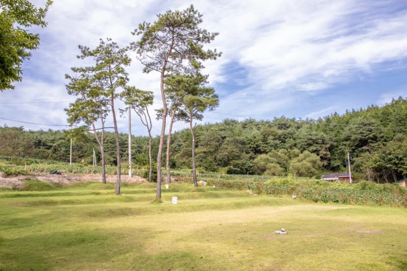솔내음 물댄동산 야영장 사진 17
