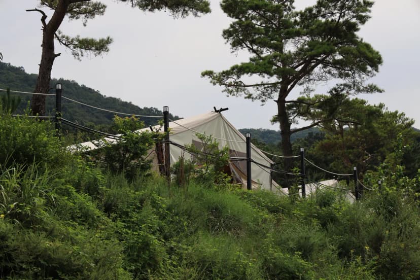 토함산 락 글램핑 사진 8