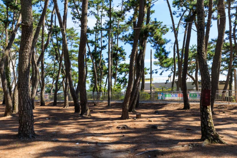 송림오토캠핑장 사진 8