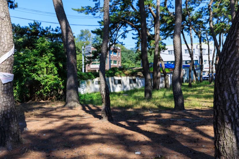 송림오토캠핑장 사진 11