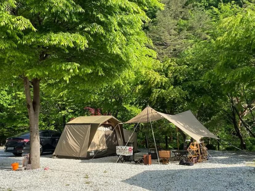 봉화별캠핑장