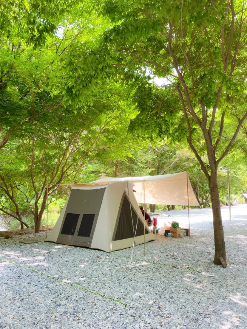 봉화별캠핑장 사진 6