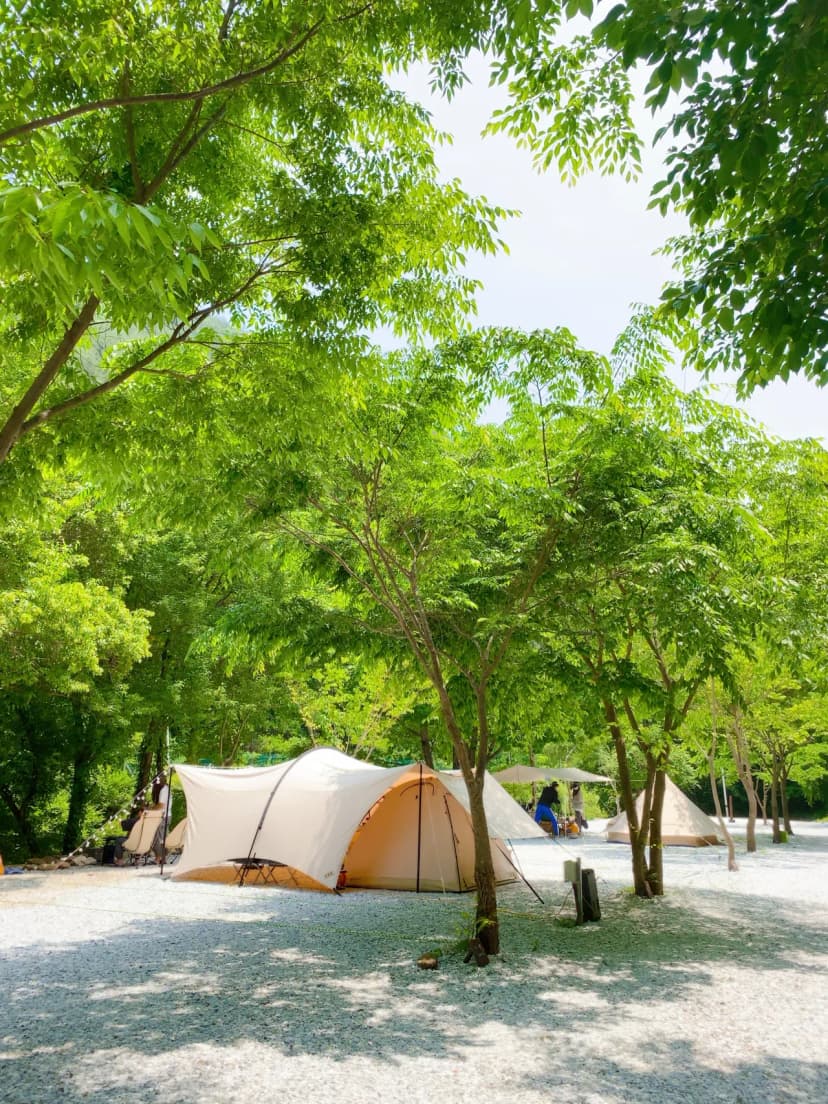 봉화별캠핑장 사진 7