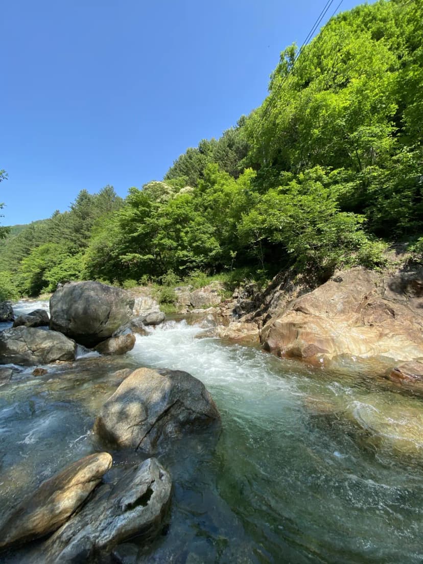 봉화별캠핑장 사진 9