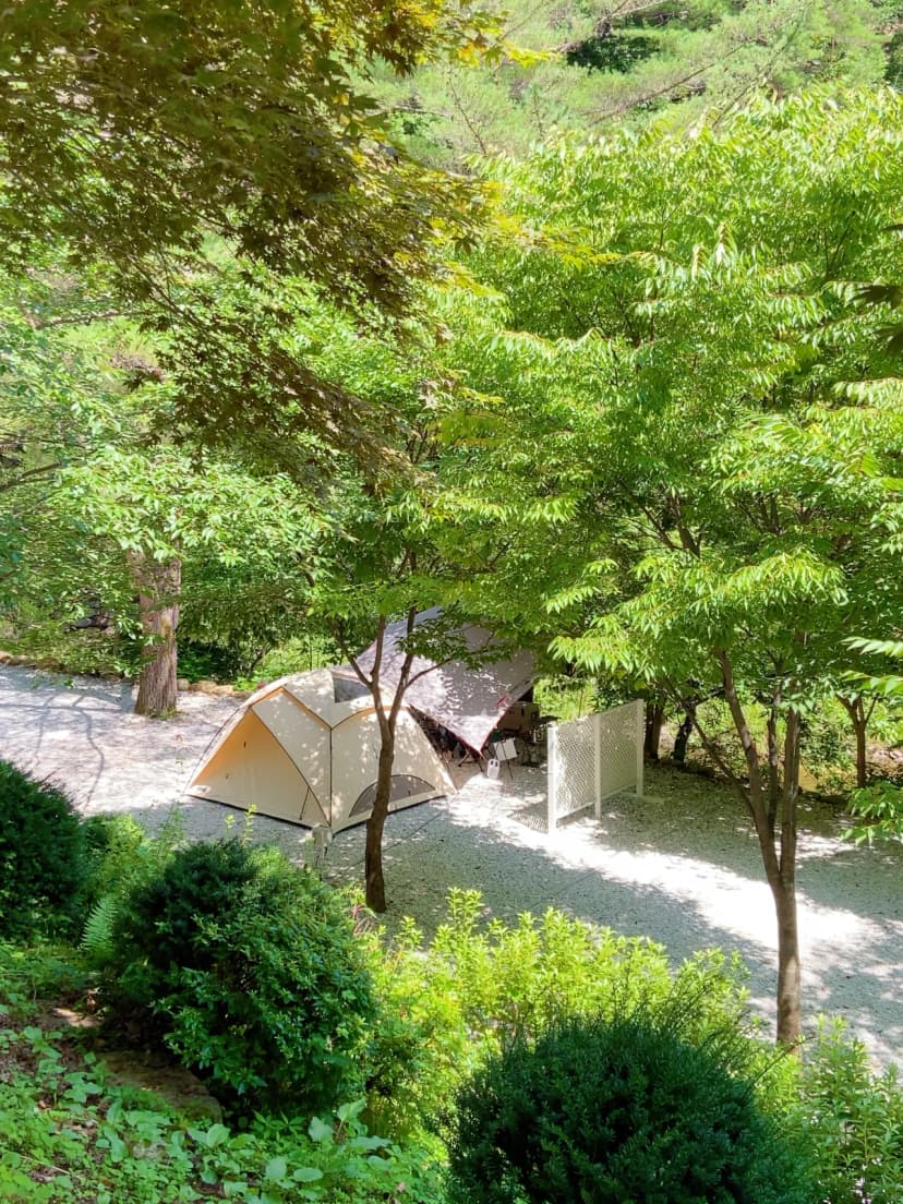 봉화별캠핑장 사진 10