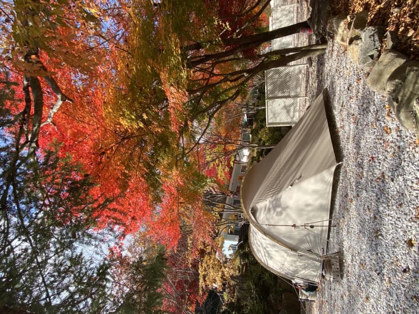 봉화별캠핑장 사진 12
