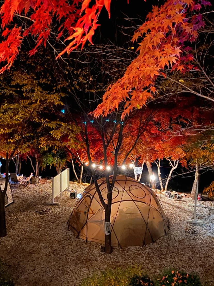 봉화별캠핑장 사진 13