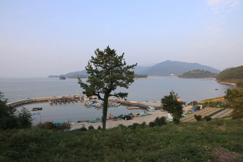 버드하우스 캠핑장 사진 12