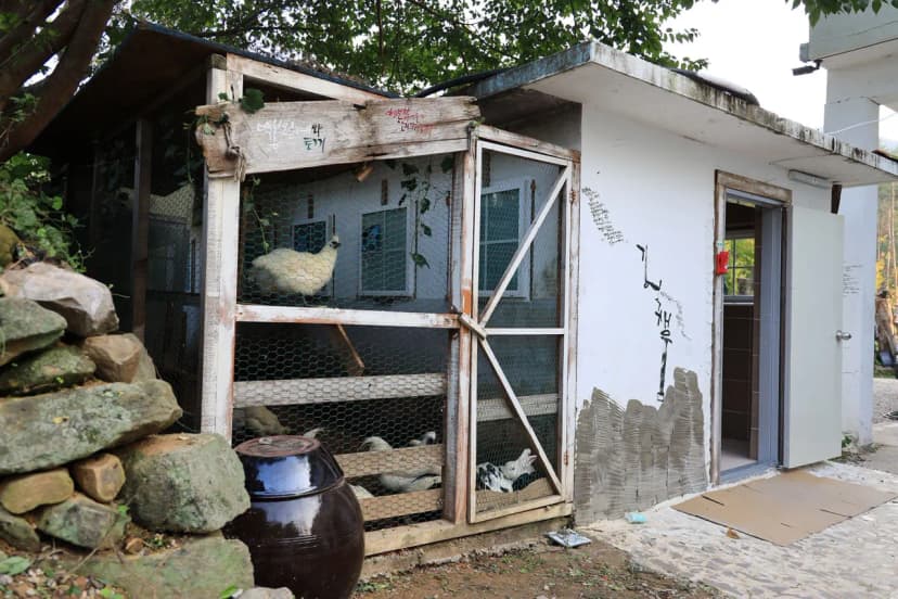 버드하우스 캠핑장 사진 13