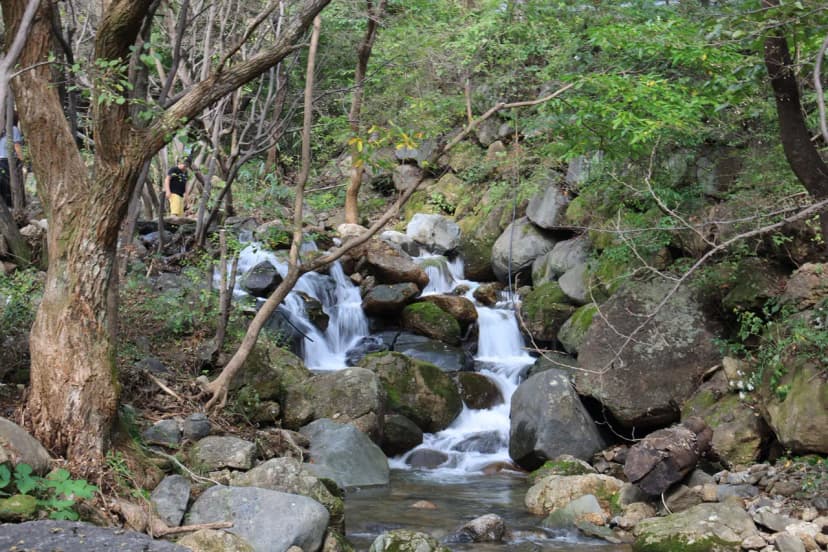 지리산리조트 글램핑 사진 4