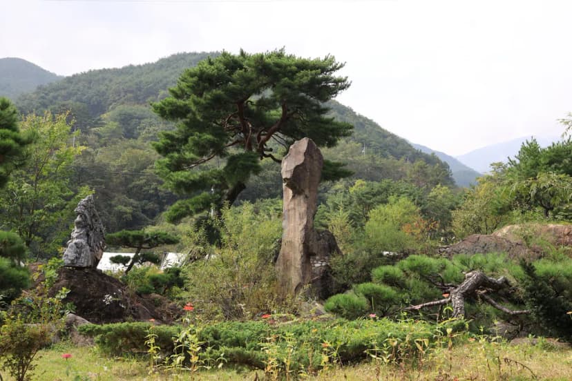 지리산리조트 글램핑 사진 5