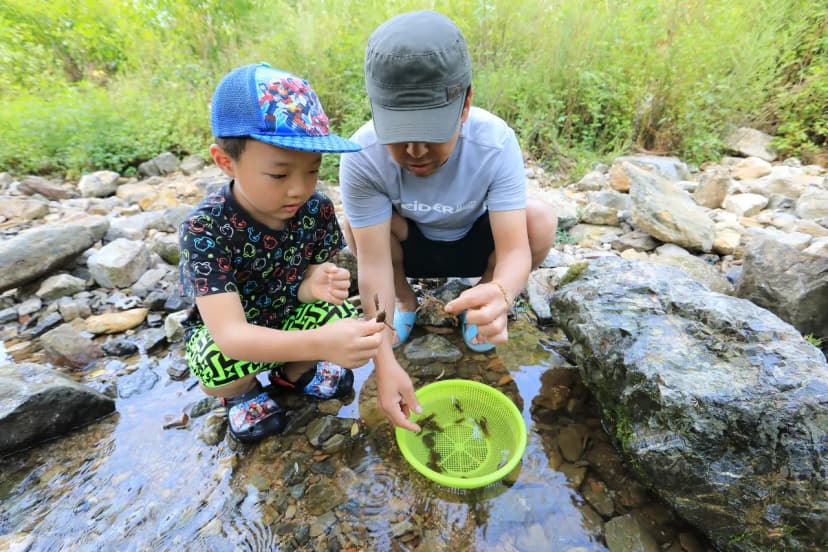 가마실캠핑장 사진 20