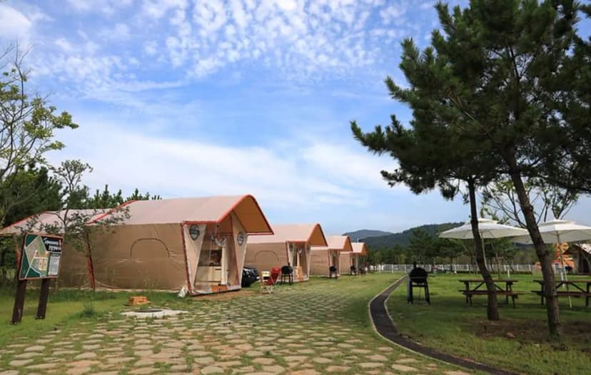고창갯벌오토캠핑&글램핑 사진 3