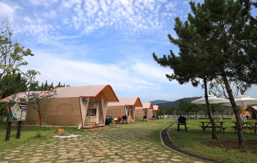 고창갯벌오토캠핑&글램핑 사진 15