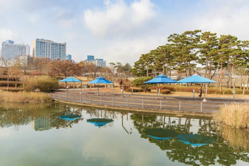 전월산 국민여가캠핑장 사진 2