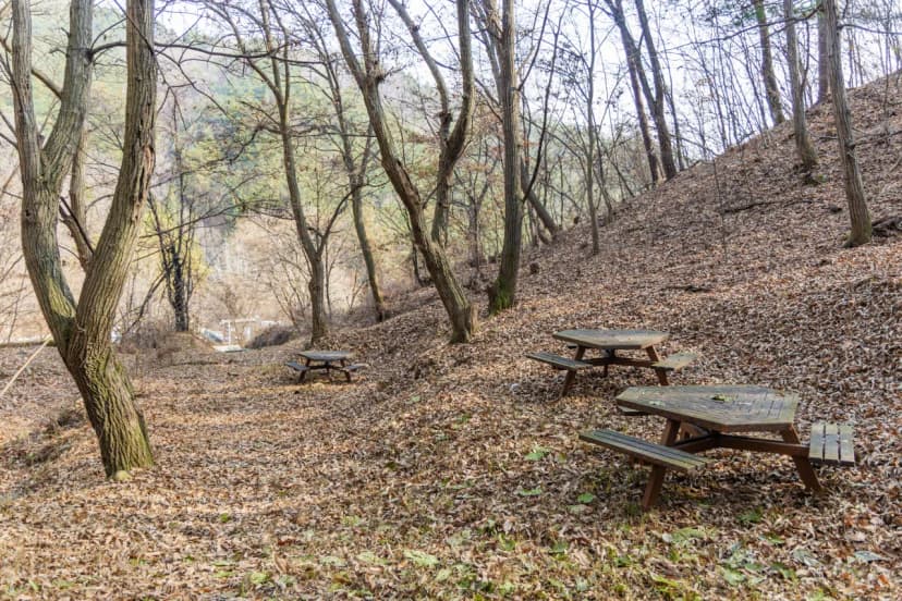 전월산 국민여가캠핑장 사진 6