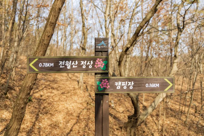 전월산 국민여가캠핑장 사진 7