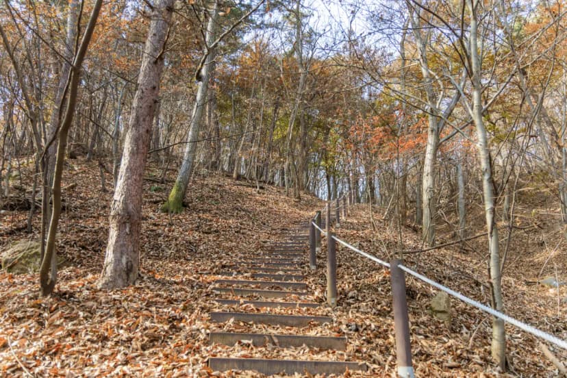 전월산 국민여가캠핑장 사진 8
